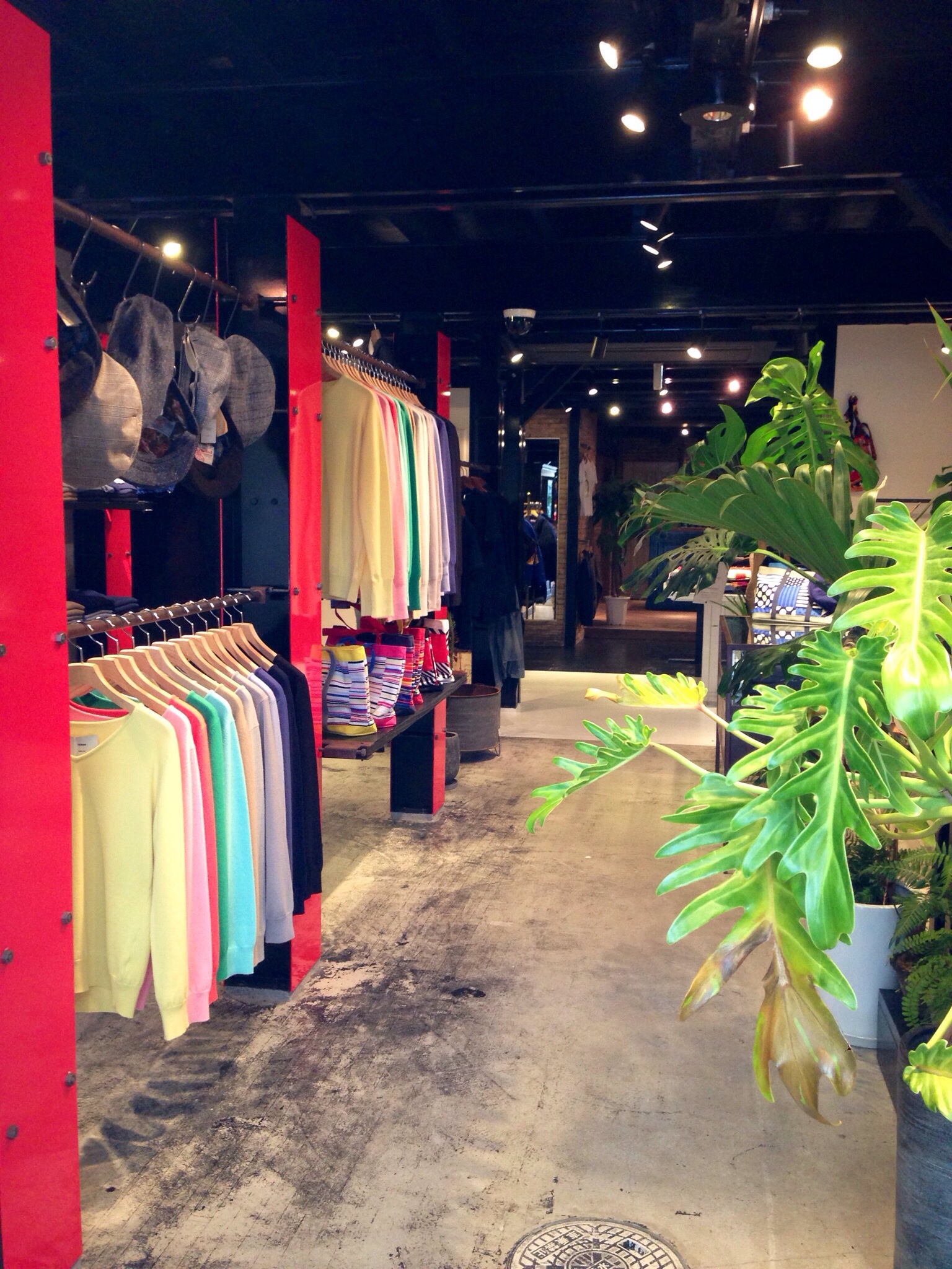 20131116-220536.jpg